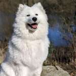 Ersteller:in Julia Profilbild