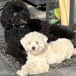 Ersteller:in Stefanie Profilbild