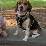 Ersteller:in Sarah Profilbild