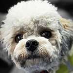 Ersteller:in Dajana Profilbild