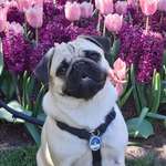 Ersteller:in Julie Profilbild