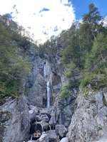 Hundeauslaufgebiet-Schöne Runde entlang des Frauenbachwasserfalls und dem Waldlehrpfad Wacht-Bild