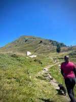 Hundeauslaufgebiet-Wanderung auf das Moharkreuz-Bild