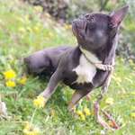 Ersteller:in Leni Profilbild