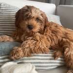 Ersteller:in Leonie Profilbild