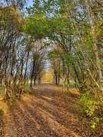 Hundeauslaufgebiet-Schnacken Pfad-Bild