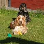 Ersteller:in Jörg Profilbild