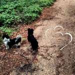 Ersteller:in Samira Profilbild