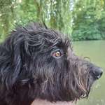 Ersteller:in Birgit Profilbild