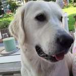 Ersteller:in Daniela Profilbild