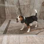 Ersteller:in Maria Profilbild