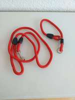 Leinen/Halsband Set-Beitrag-Bild