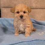 Ersteller:in Jasmin Profilbild