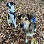 Ersteller:in Lorraine Profilbild