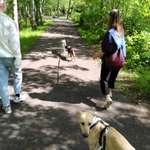 Ersteller:in Anna Profilbild