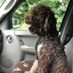 Ersteller:in Maren Profilbild