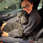 Ersteller:in Dani Profilbild