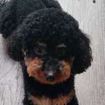 Ersteller:in Je Profilbild