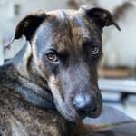 Ersteller:in Tamara Profilbild