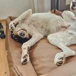 Ersteller:in Anja Profilbild