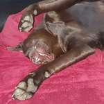 Ersteller:in Tanja Profilbild