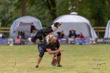 DogFrisbee-Beitrag-Bild