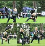 DogFrisbee-Beitrag-Bild