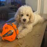 Ersteller:in Anastasiya Profilbild