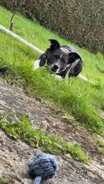 Auffälliges Verhalten..-Beitrag-Bild