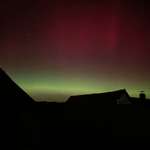 Ersteller:in Esther Profilbild