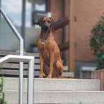 Ersteller:in Denise Profilbild