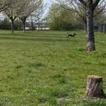 Ersteller:in Selina Profilbild