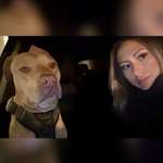 Ersteller:in Lari Profilbild