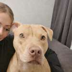 Ersteller:in Lari Profilbild