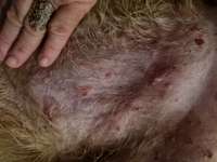 Hautausschlag - was kann das sein-Beitrag-Bild