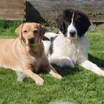 Ersteller:in Babs Profilbild