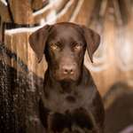 Ersteller:in Lisa Profilbild