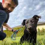 Ersteller:in Julian Profilbild