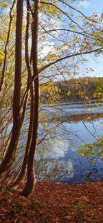 Hundeauslaufgebiet-Ukleisee Rundweg-Bild