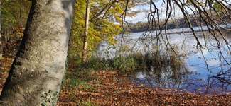 Hundeauslaufgebiet-Ukleisee Rundweg-Bild