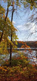 Hundeauslaufgebiet-Ukleisee Rundweg-Bild