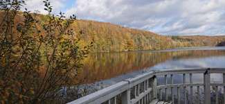 Hundeauslaufgebiet-Ukleisee Rundweg-Bild