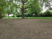 Hundeauslaufgebiet-Henriettenstraße-Bild