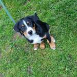 Ersteller:in Sarah Profilbild