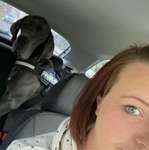 Ersteller:in Desiree Profilbild