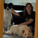 Ersteller:in Cindy Profilbild