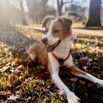 Ersteller:in Marion Profilbild