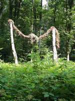 Hundeauslaufgebiet-Südpark/Sendlinger Wald-Bild