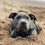 Ersteller:in Diana Profilbild