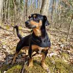 Ersteller:in Ilo Profilbild